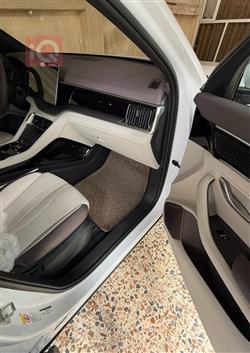 بي واي دي سونغ بلس